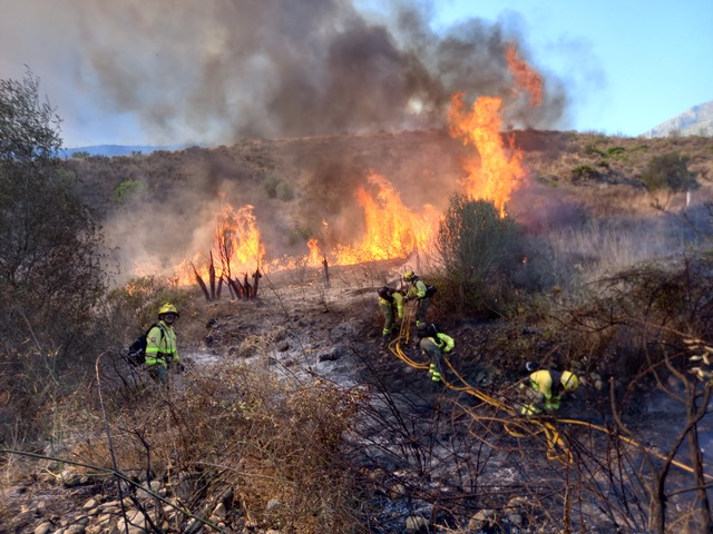 “Irresponsible actions and negligence cause most fires.” Photo © Isa Moreno/INFOCA